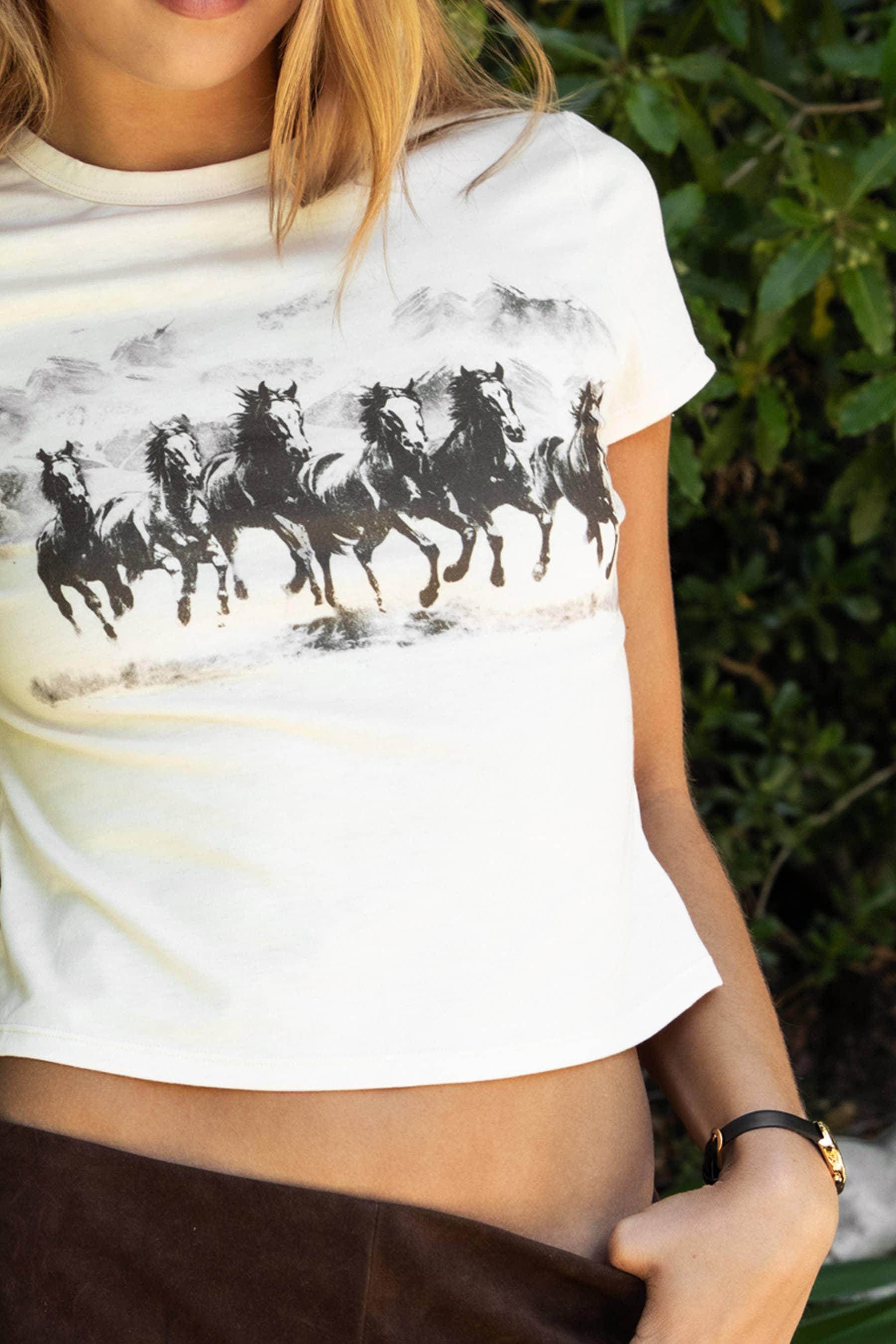Western Collection