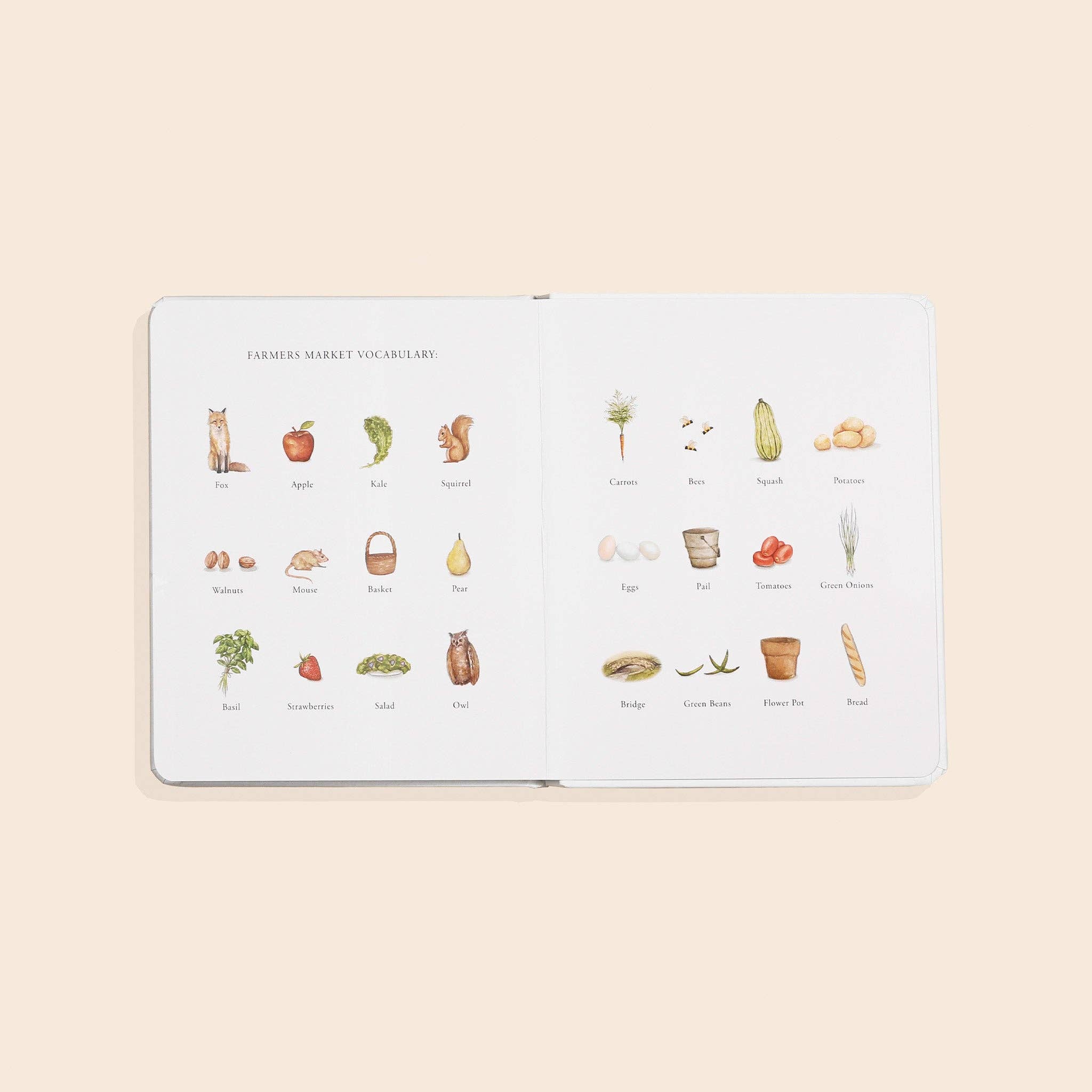Our Little Adventure to the Farmers Market (Board Book)